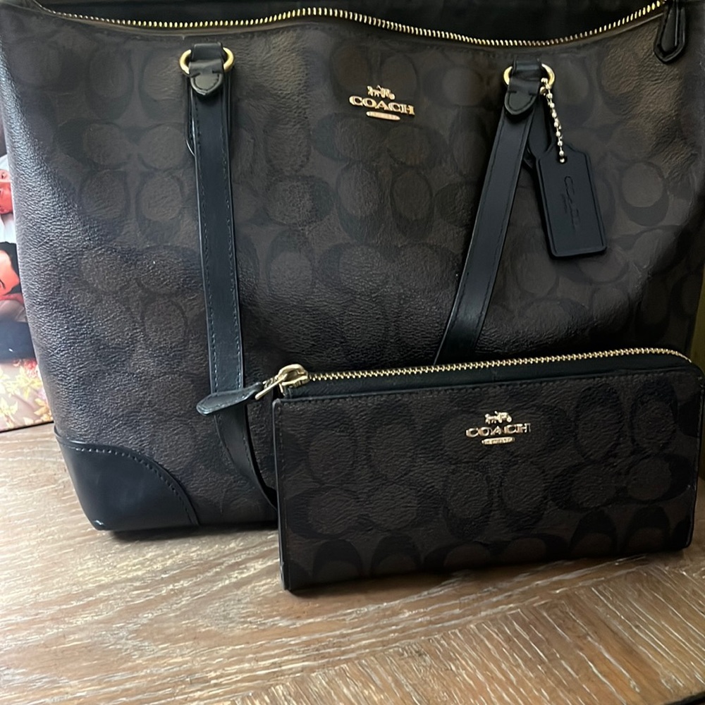 Coach Handbag + Wallet set